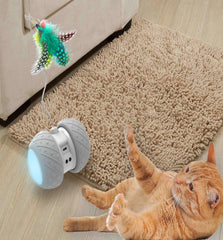 Rechargeable funny cat toy