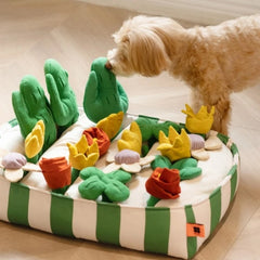 A set of games and toys for pets