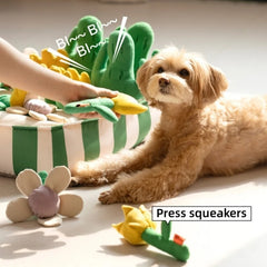 A set of games and toys for pets