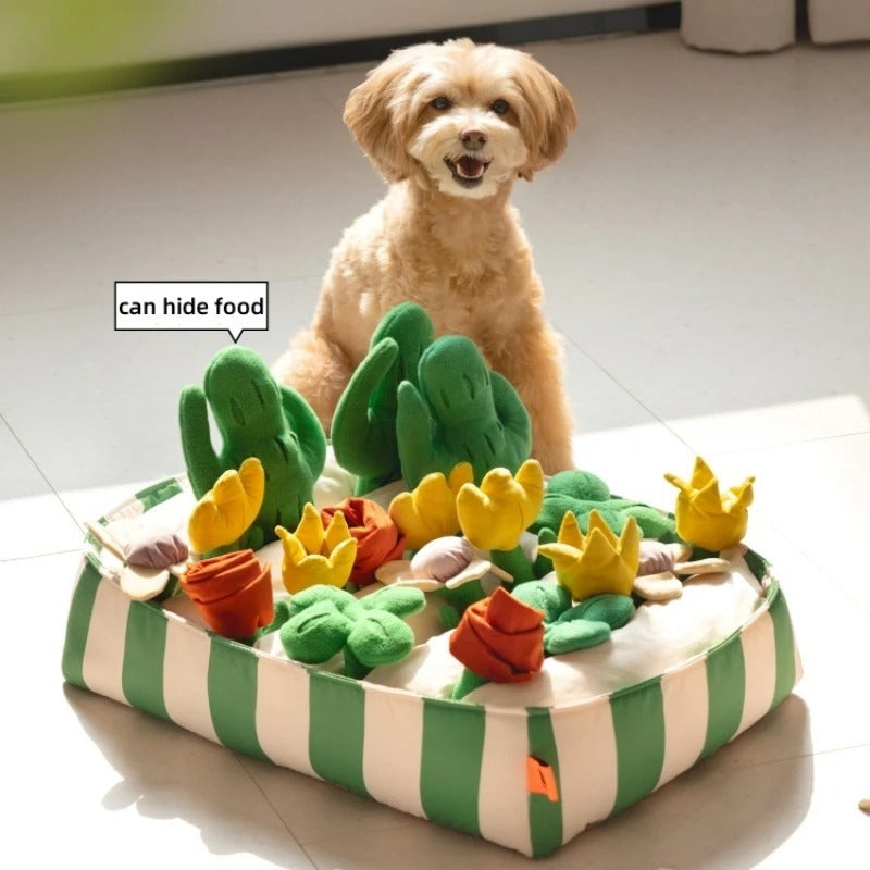 A set of games and toys for pets