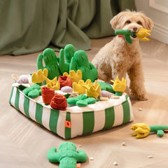 A set of games and toys for pets