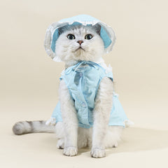 Cat clothing