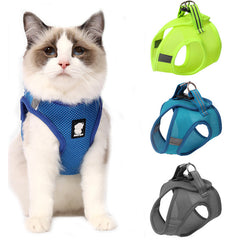 cat harness