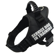 chest harness