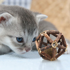 Cat Toy and Catnip Ball