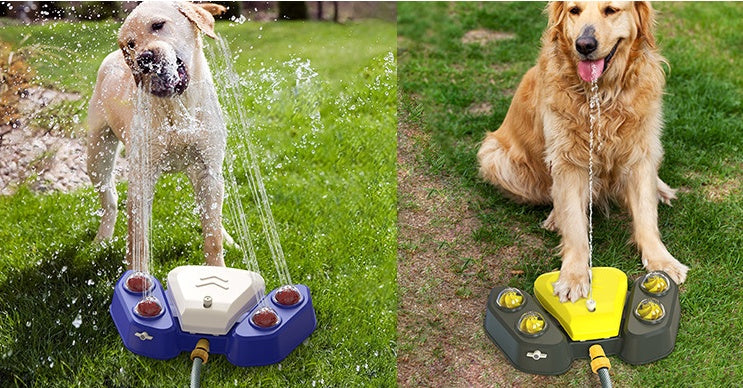 Smart Automatic Drinking Fountains