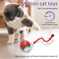 pet toys