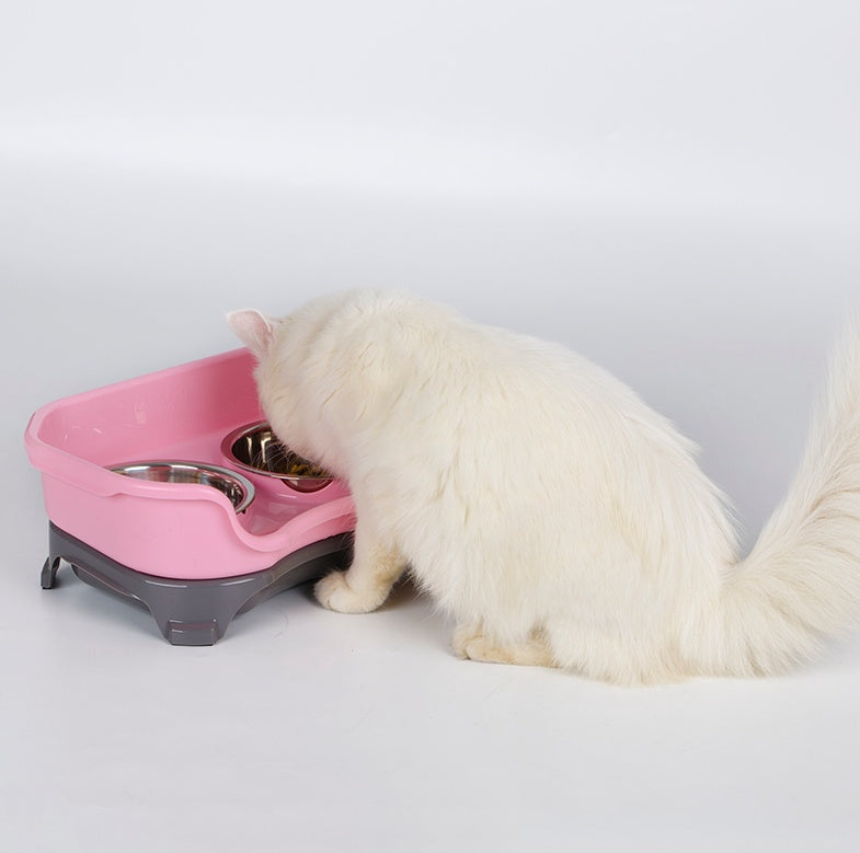 Dog bowl cat bowl