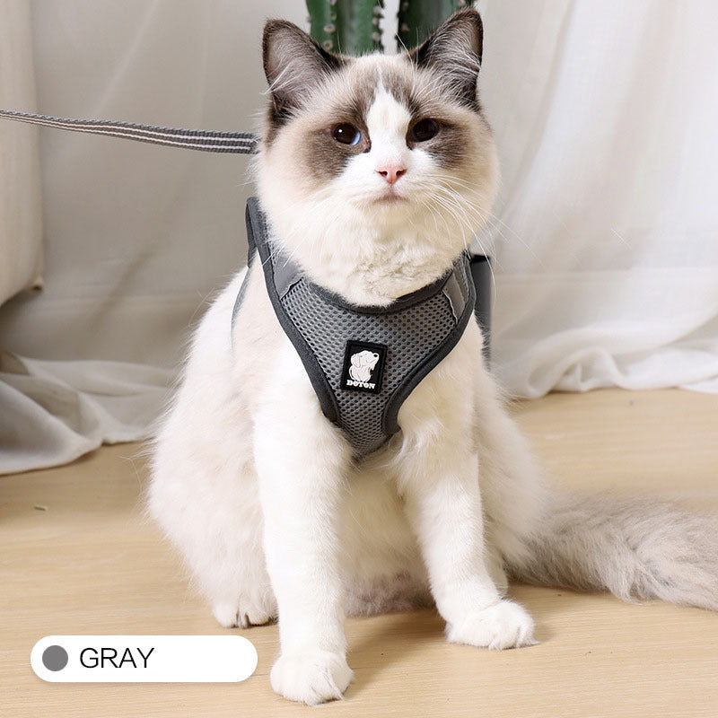 cat harness