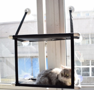 cat hammock