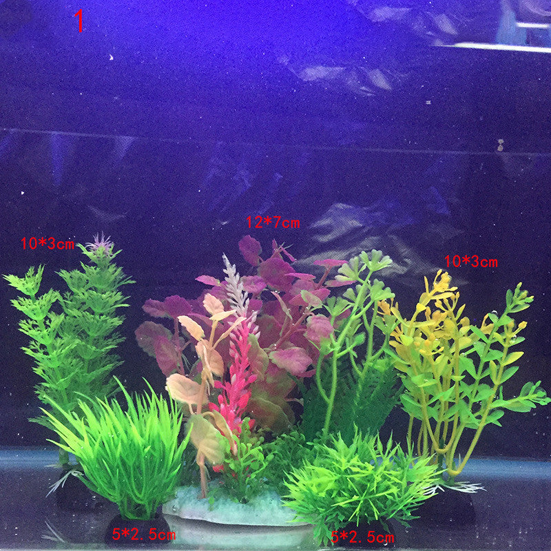 Plants for the aquarium