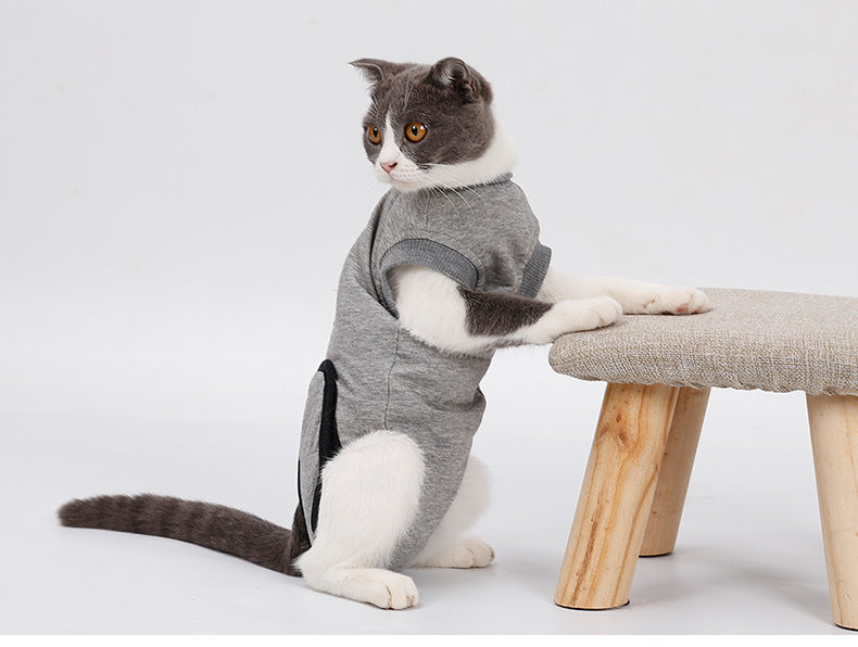 Cat Clothing