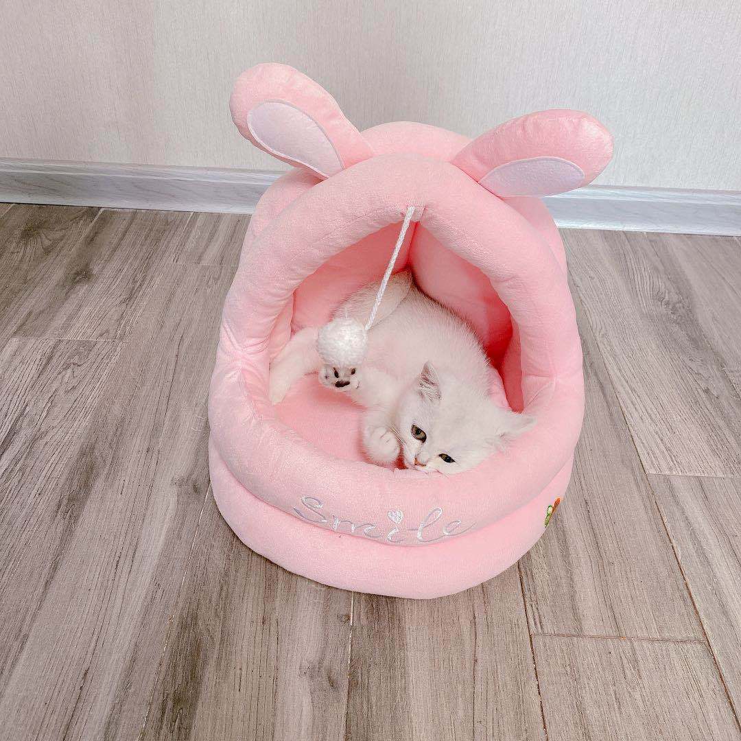 Pet bed