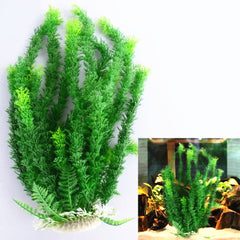 plant Aquarium fish