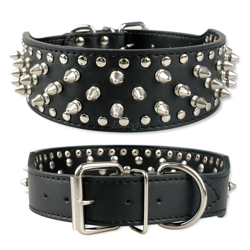 dog rivet collar