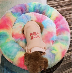 Pet Rainbow Bed