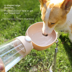 Pet Water Dispenser