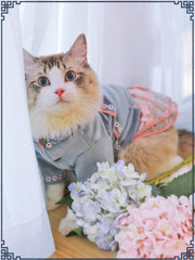 Pet clothes style