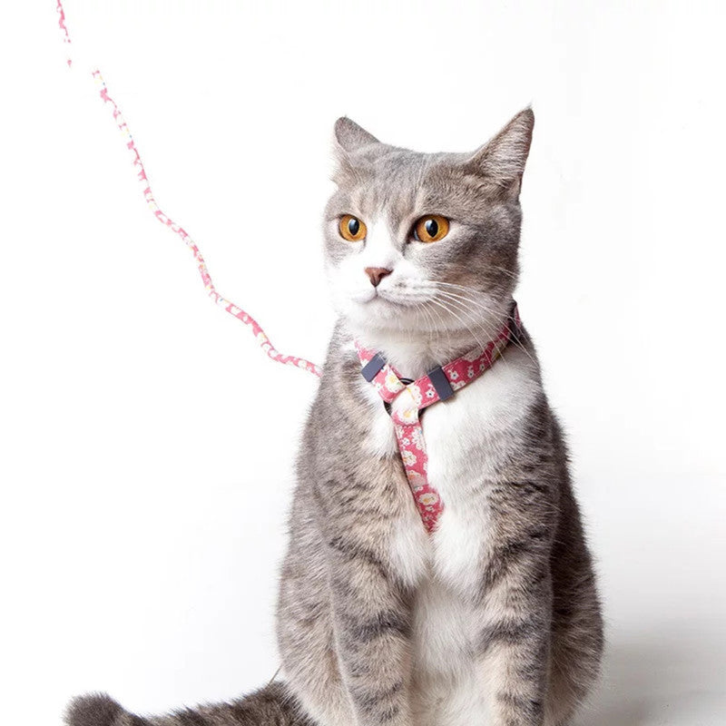 Walking leash for cats