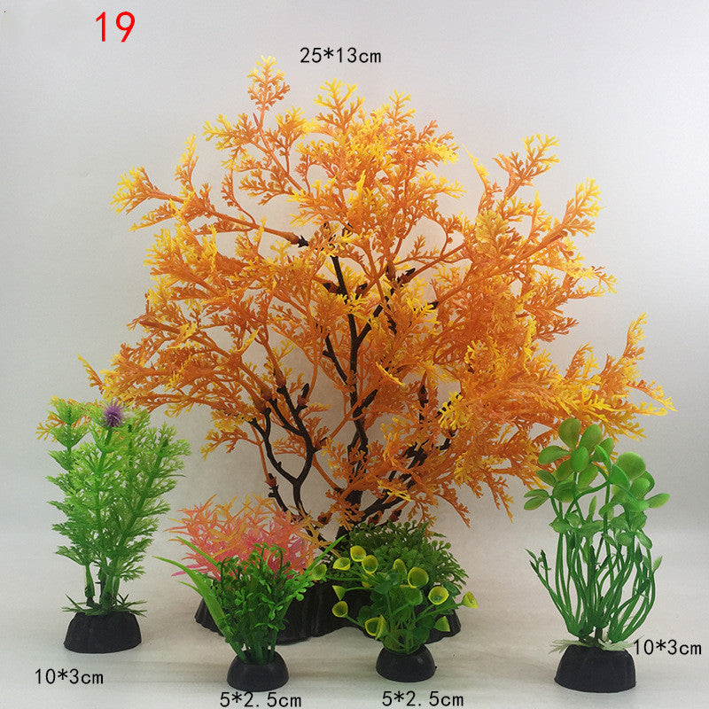 Plants for the aquarium