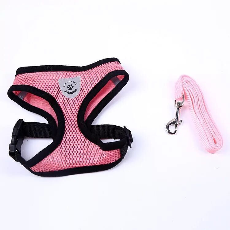 Pet chest strap