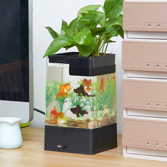 Desktop Fish aquarium