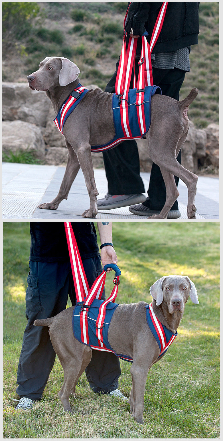 Pet Leash Harness