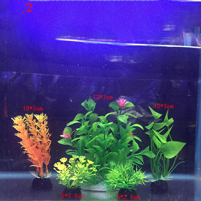 Plants for the aquarium