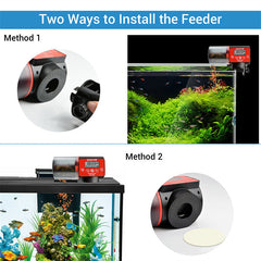 Automatic Fish Feeder