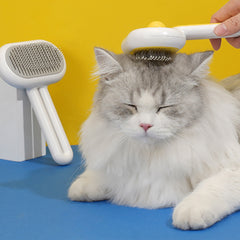 Cat Brush,Dog Brush -Free and fast shipping