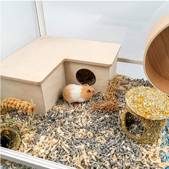 Hamster Multi-Room