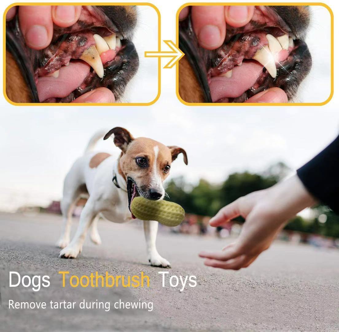 Funny Pet Dog Squeaky Toys For Small Middle Dogs