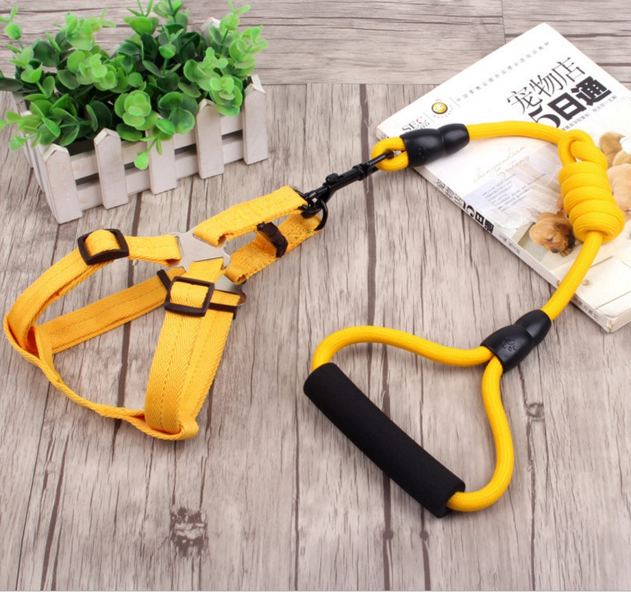 pet harness rope