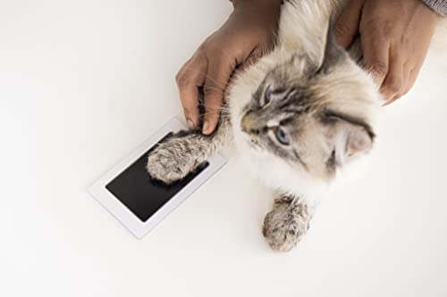 Touch Ink Pad Kit for Dogs and Cats