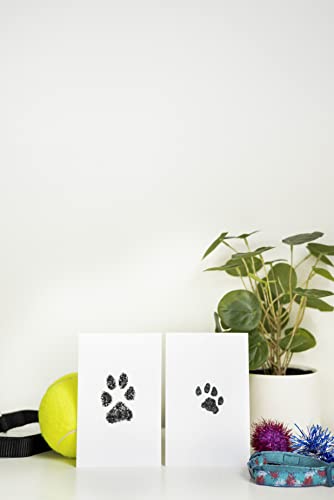 Touch Ink Pad Kit for Dogs and Cats