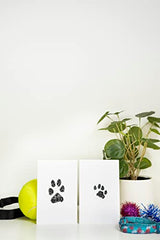 Touch Ink Pad Kit for Dogs and Cats