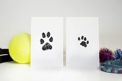 Touch Ink Pad Kit for Dogs and Cats