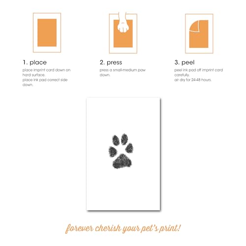 Touch Ink Pad Kit for Dogs and Cats