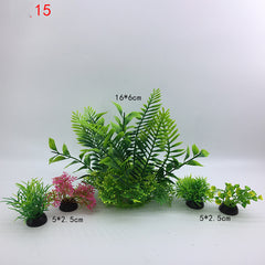 Plants for the aquarium