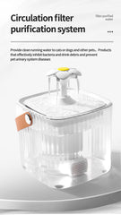 Electric Water Dispenser