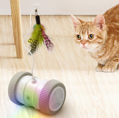 Rechargeable funny cat toy