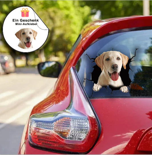 Animal Wall Stickers All Kinds Of Puppy Creative Hole Car Window Electrostatic