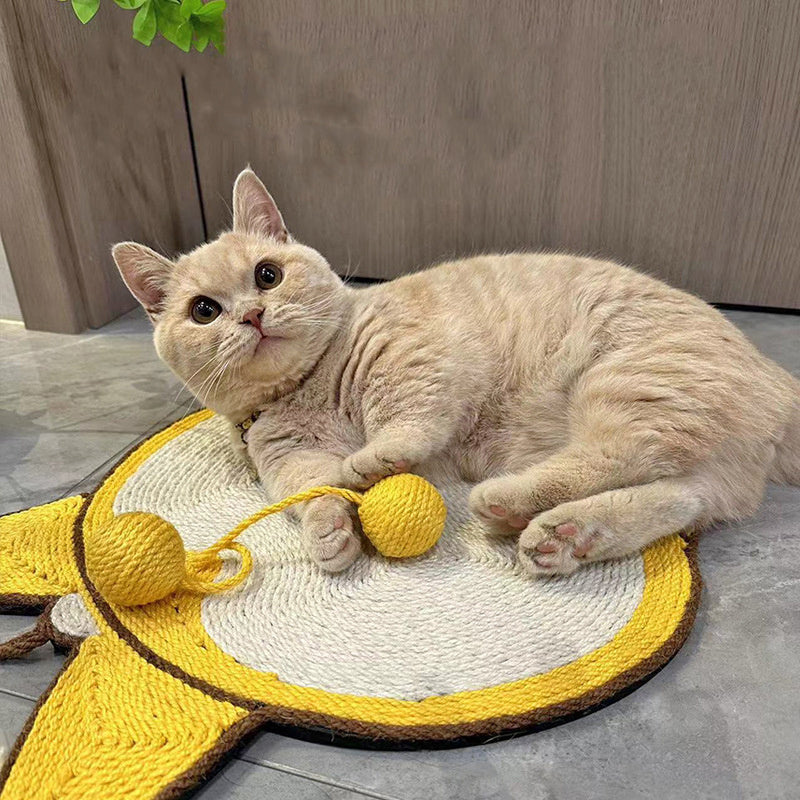 Cat Scratching Board