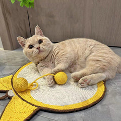 Cat Scratching Board