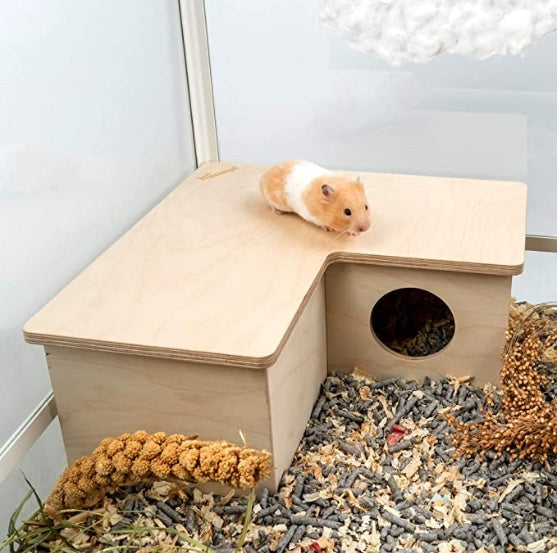 Hamster Multi-Room