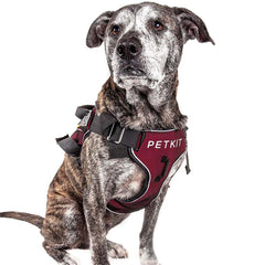 Pet vest chest strap