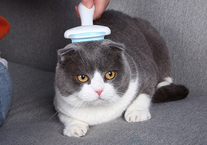 Multifunctional pet comb