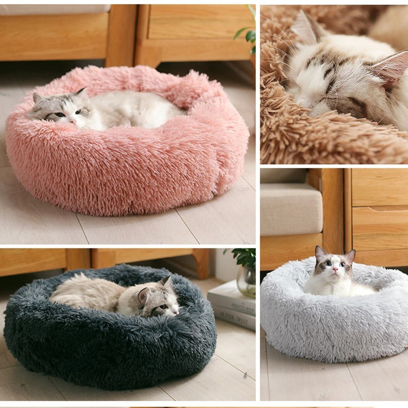 Pet Bed-Free and fast shipping