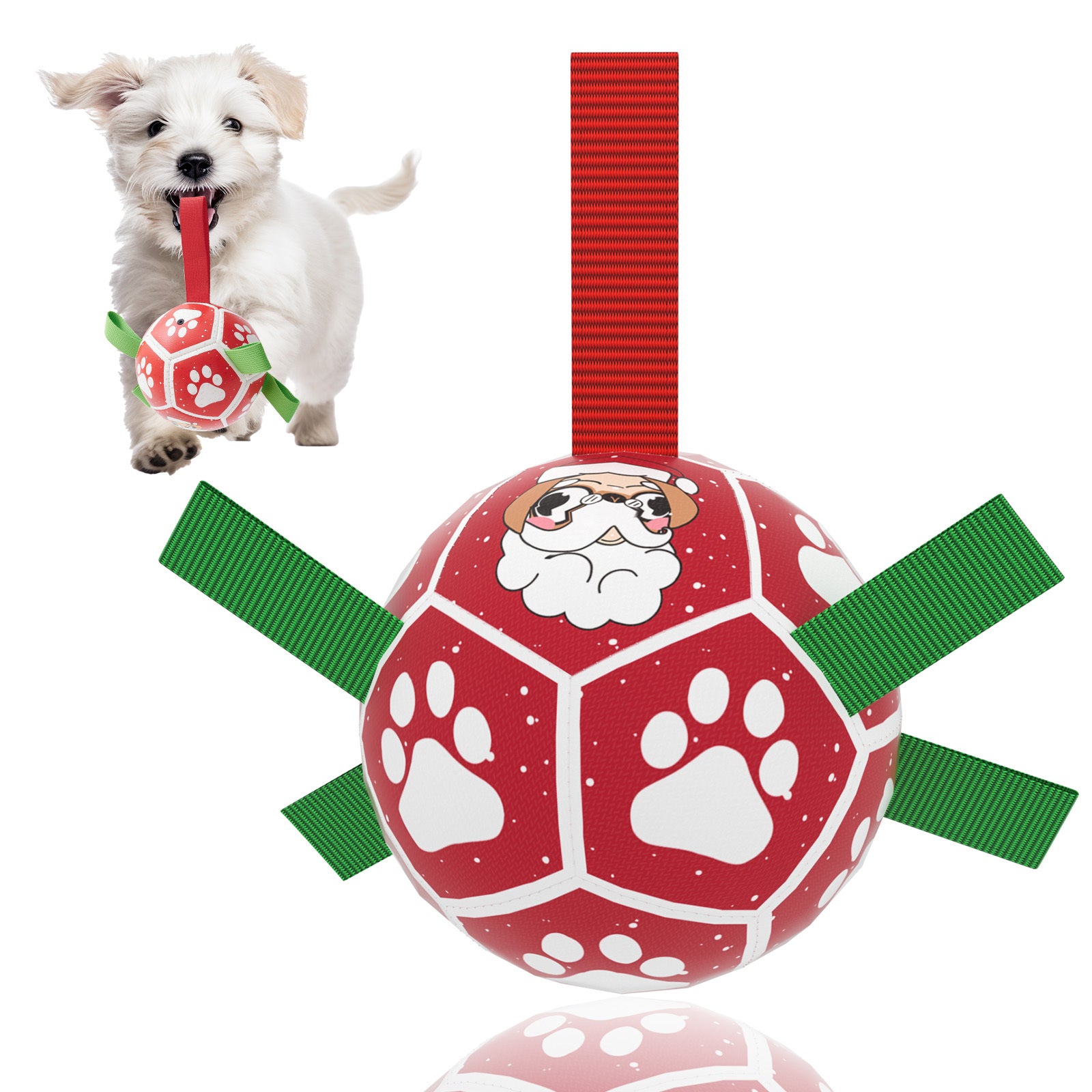 Interactive Dog Toys