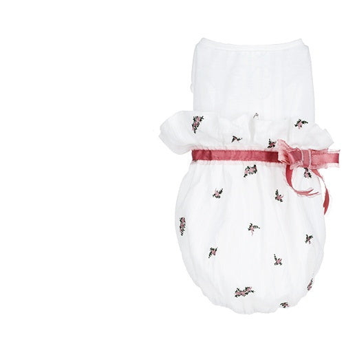 Pet clothes style